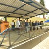 Participação da comitiva da ABRA-PC na parada diária do CA